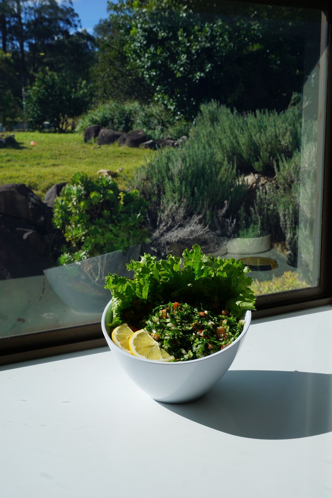 Bowl of salad with lemon slices on a white windowsill, with a green outdoor view. - The Habibiz Catering in Wingham NSW