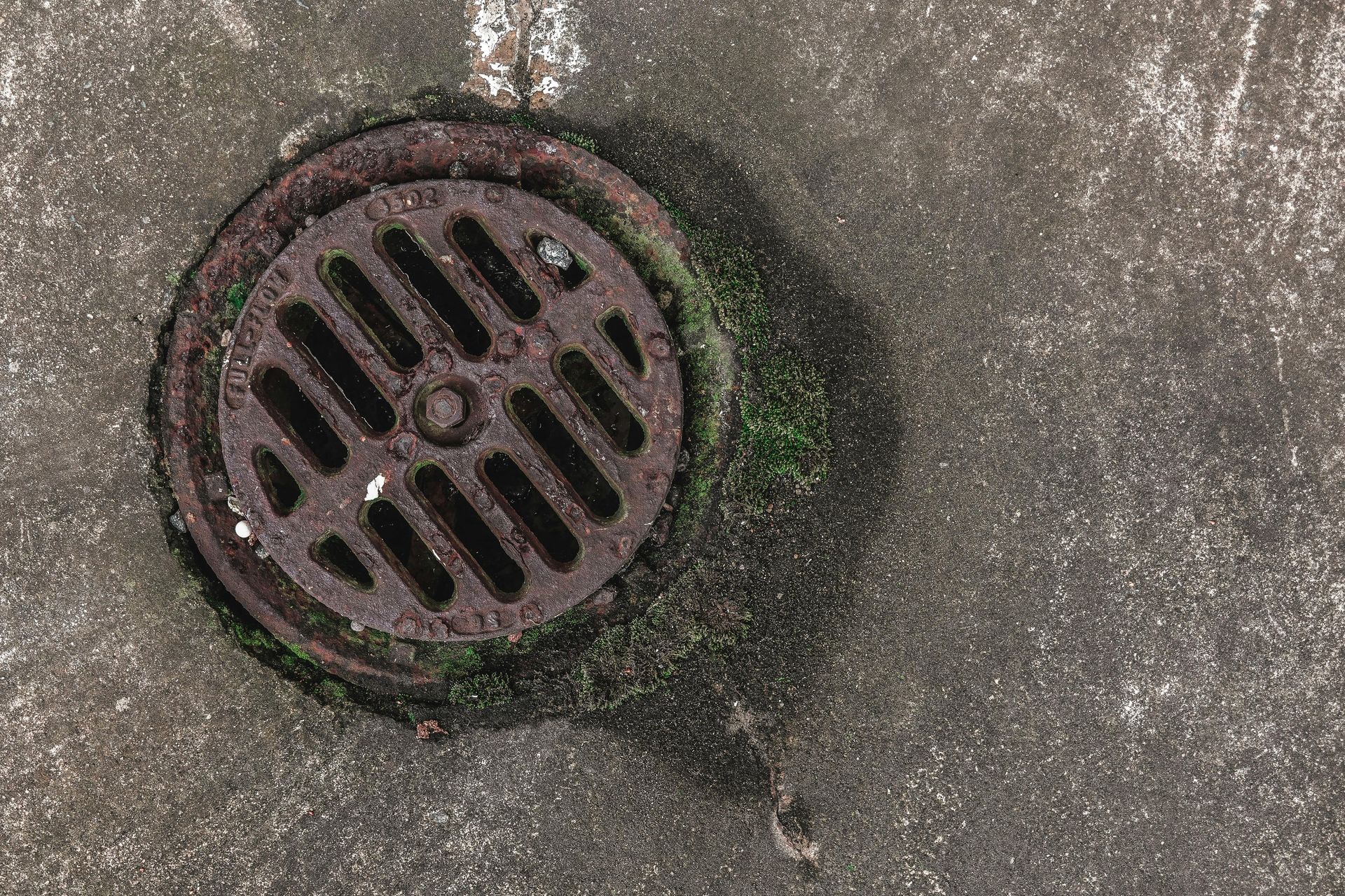 Rusty, round drain with slotted cover, set in concrete, surrounded by moss and wet stains.