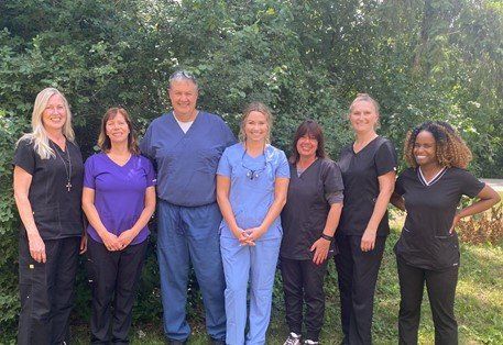 Entire Staff Photo — Patrick J. Connell DDS Family Dentistry