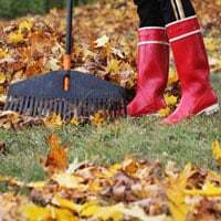 Clean Up Services — Grand Island, NE — Central Nebraska Stump Grinding