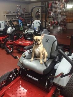 zero turn lawn mower for sale