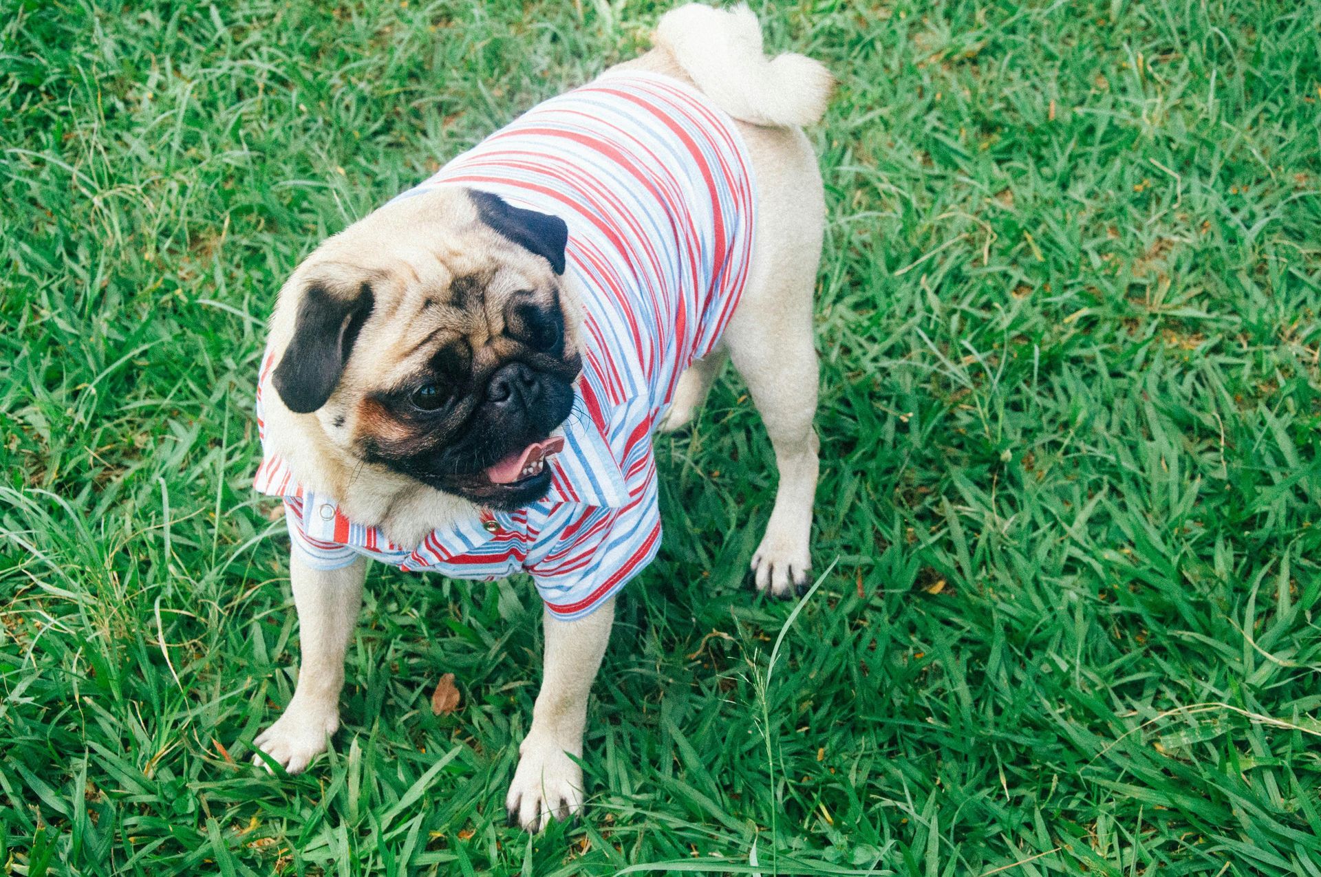 Clothing & Accessories