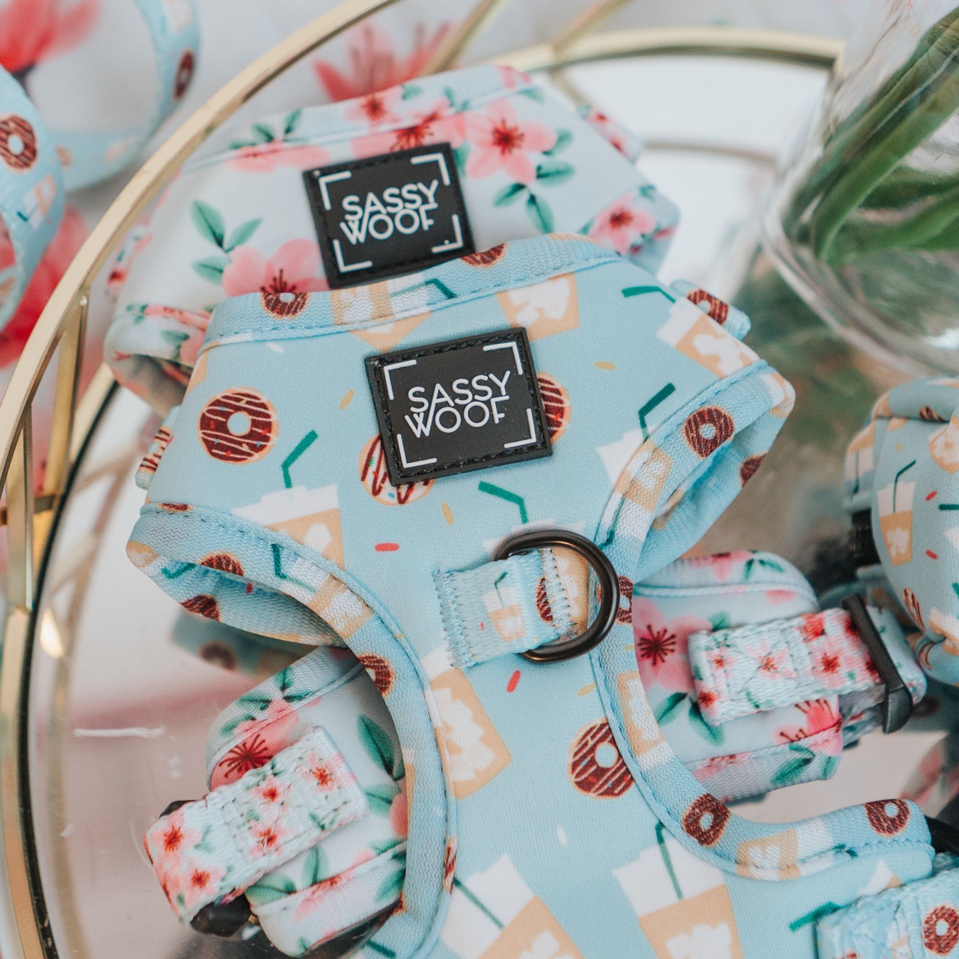 Dog Adjustable Harness-Sweet & Pawfee