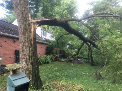 Storm Damage Before - tree service in Bellefonte, PA