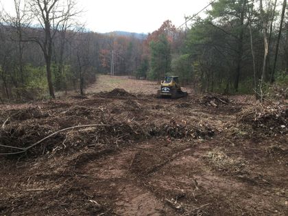 Land clearing - land clearing and tree service in Bellefonte, PA