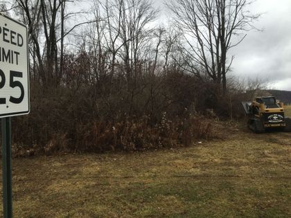 tree clearing - land clearing and tree service in Bellefonte, PA