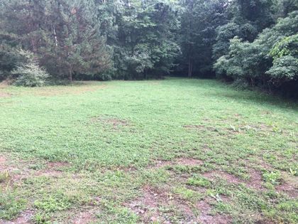 Food Plots - land clearing and tree service in Bellefonte, PA