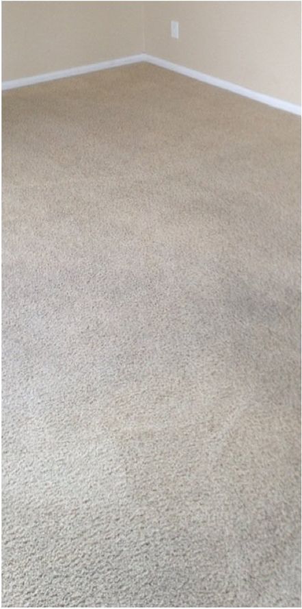 A corner of a room with a carpeted floor.