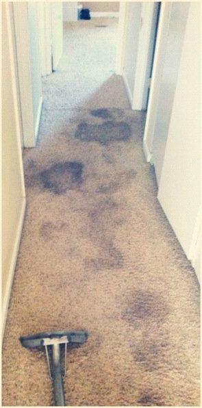 A vacuum cleaner is sitting on a dirty carpet in a hallway.