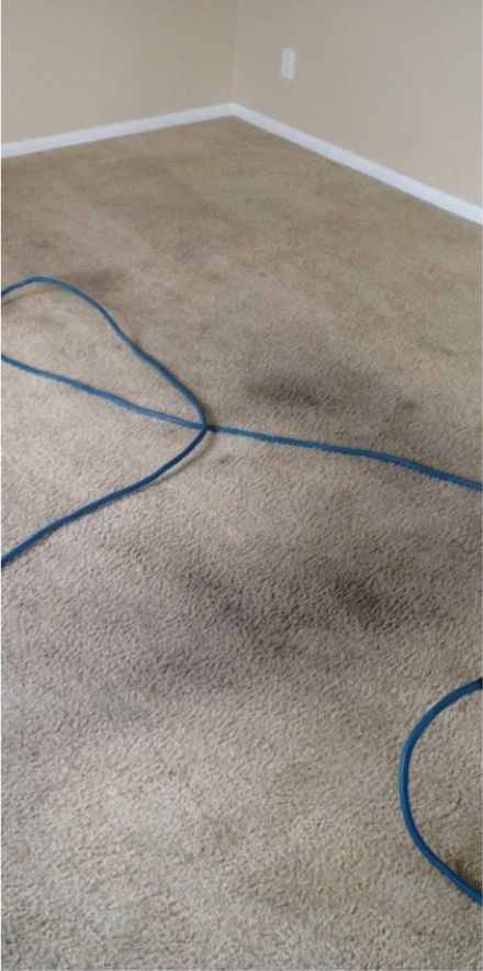 A room with a dirty carpet and a blue cord.