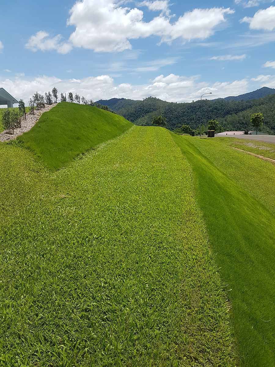 A Lush Green Field Of Grass With Mountains In The Background On A Sunny Day — Tropical Lawns Pty Ltd In Little Mulgrave Qld