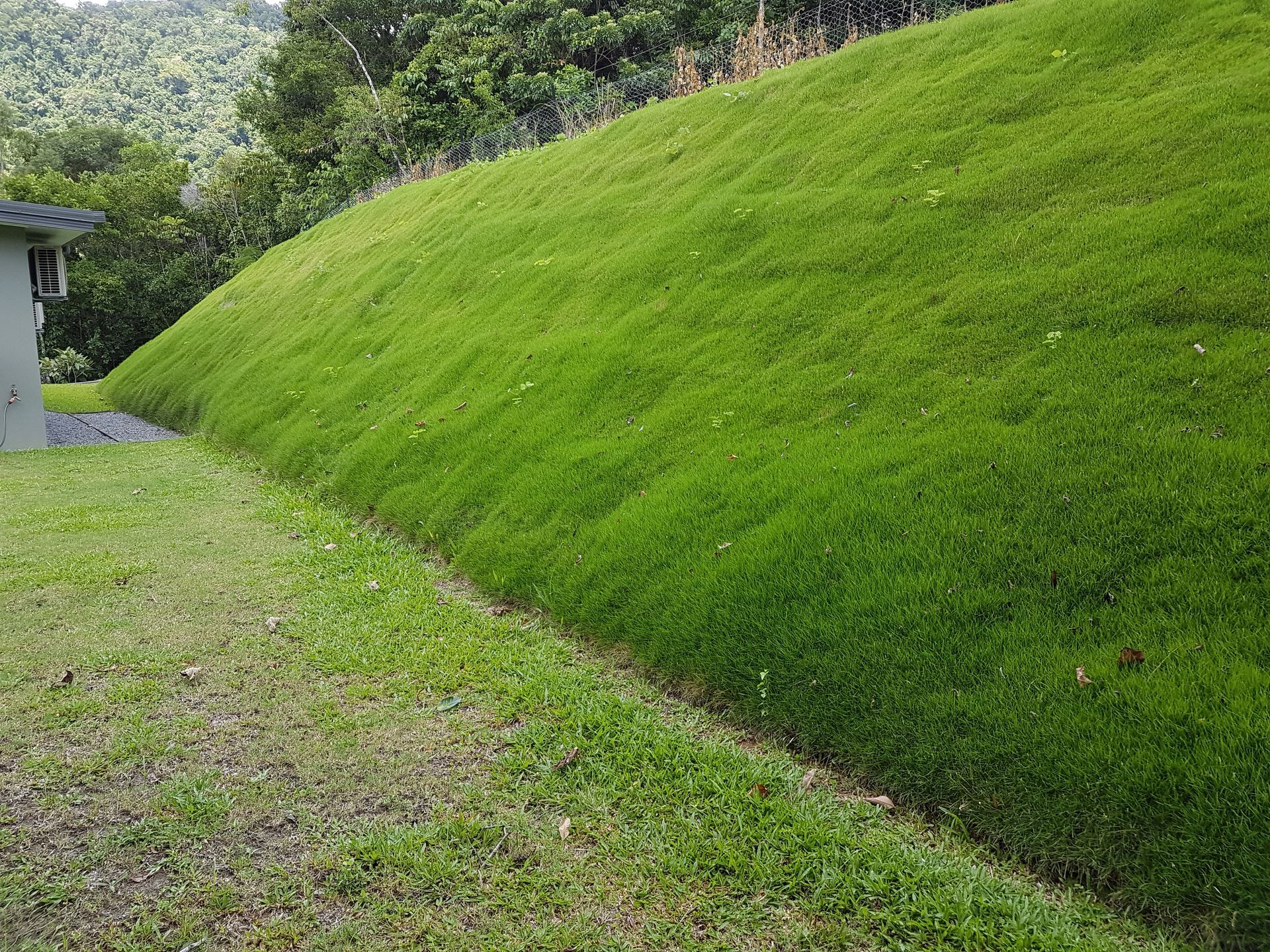 A lush green hillside with a house in the background.
