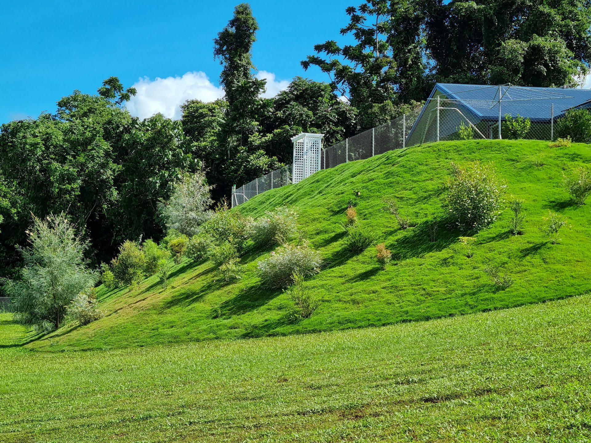 A greenhouse is sitting on top of a grassy hill.