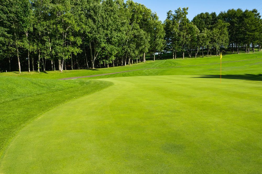 A Maintained Golf Field — Tropical Lawns Pty Ltd In Little Mulgrave QLD