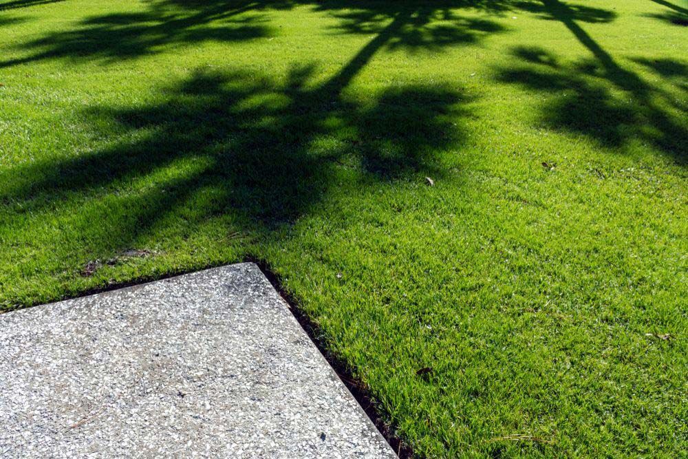 Lawn With Well-Maintained Grass