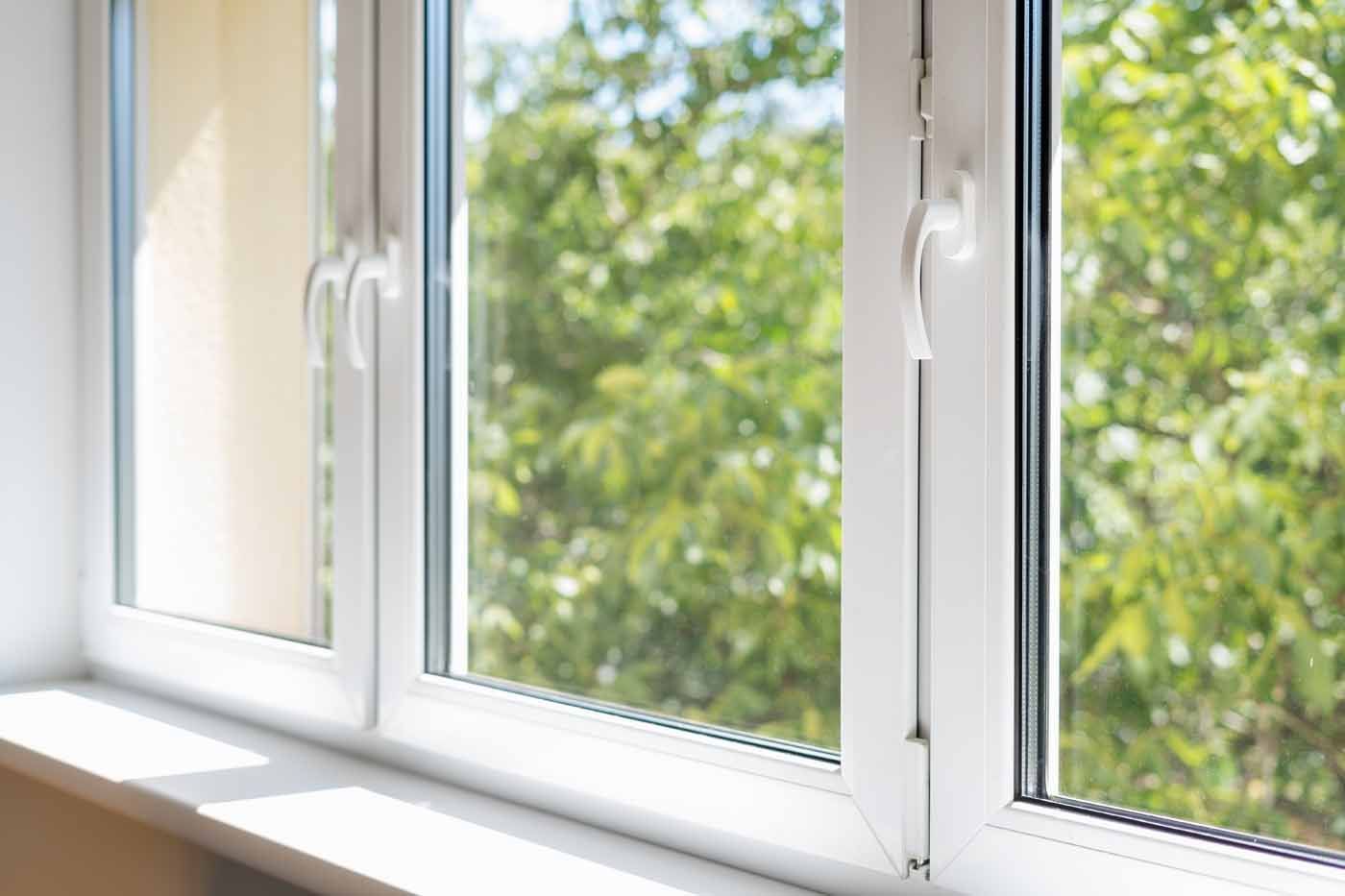 A close up of a white window with a view of trees.