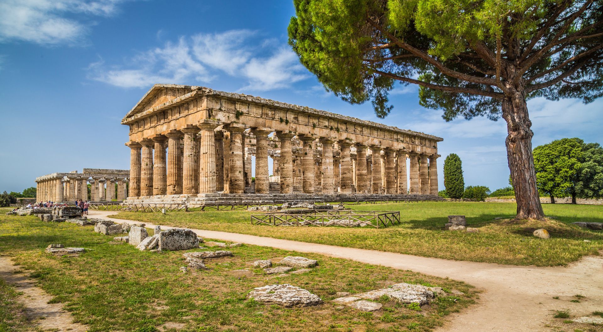Rovine di un antico tempio greco sotto un cielo azzurro, con colonne, un sentiero e un grande albero in primo piano.