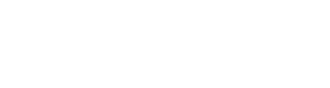 tinybot logo
