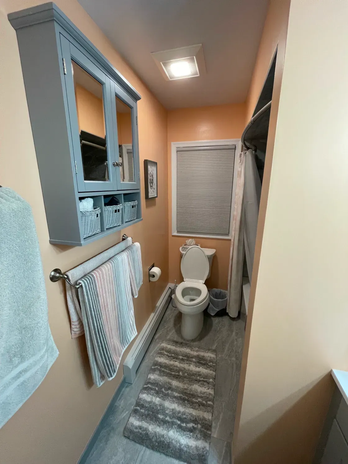 Narrow peach bathroom with blue cabinet, toilet, and striped rug.