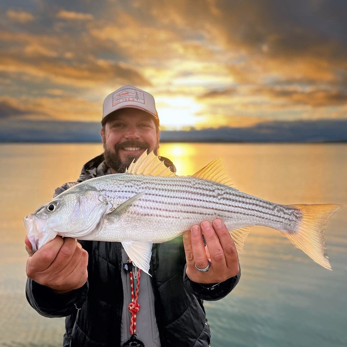 Striped Bass Fishing, Canyon Lake