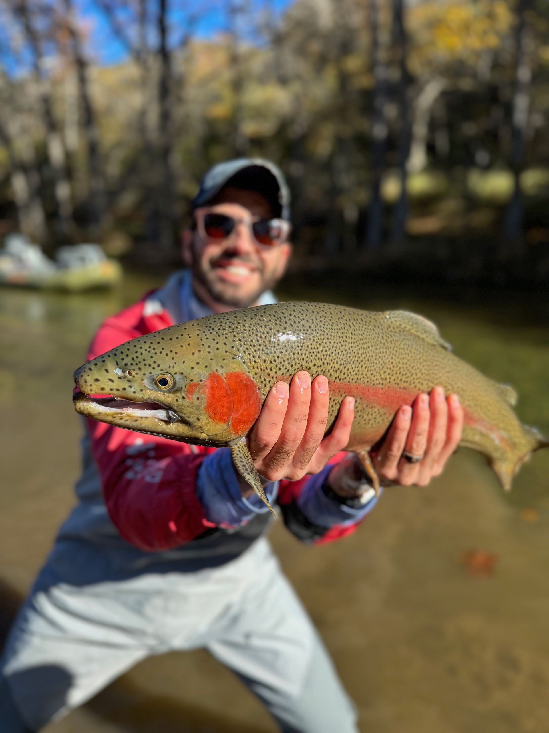 Guadalupe River Trout Trips