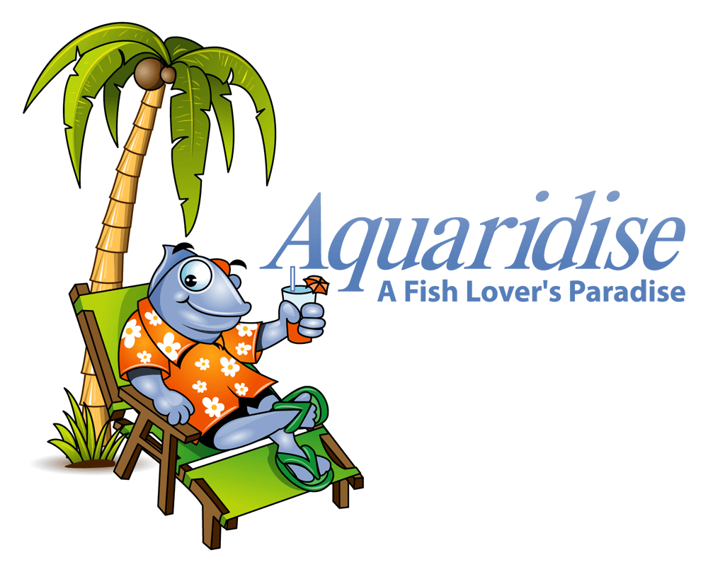 Aquaridise A fish lover's paradise