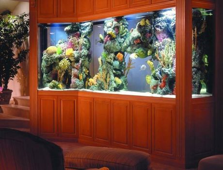 Aquarium Installation