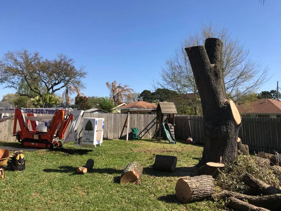 A large tree is being cut down in a backyard.