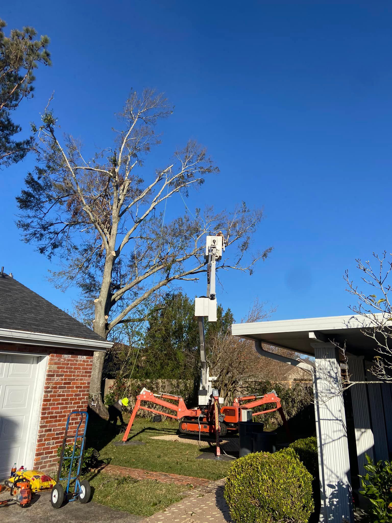A crane is cutting a tree in front of a house.