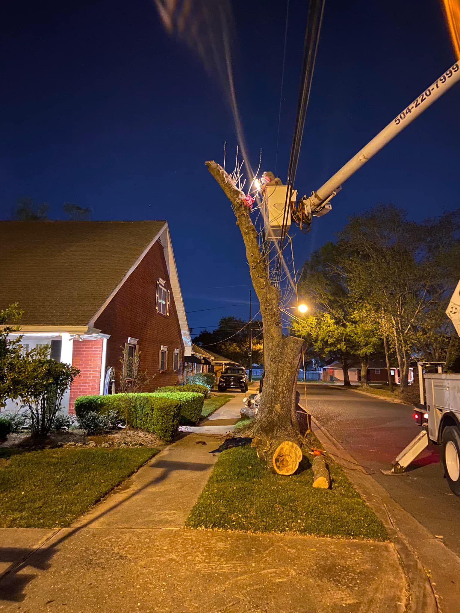 A man is cutting a tree with a crane at night.