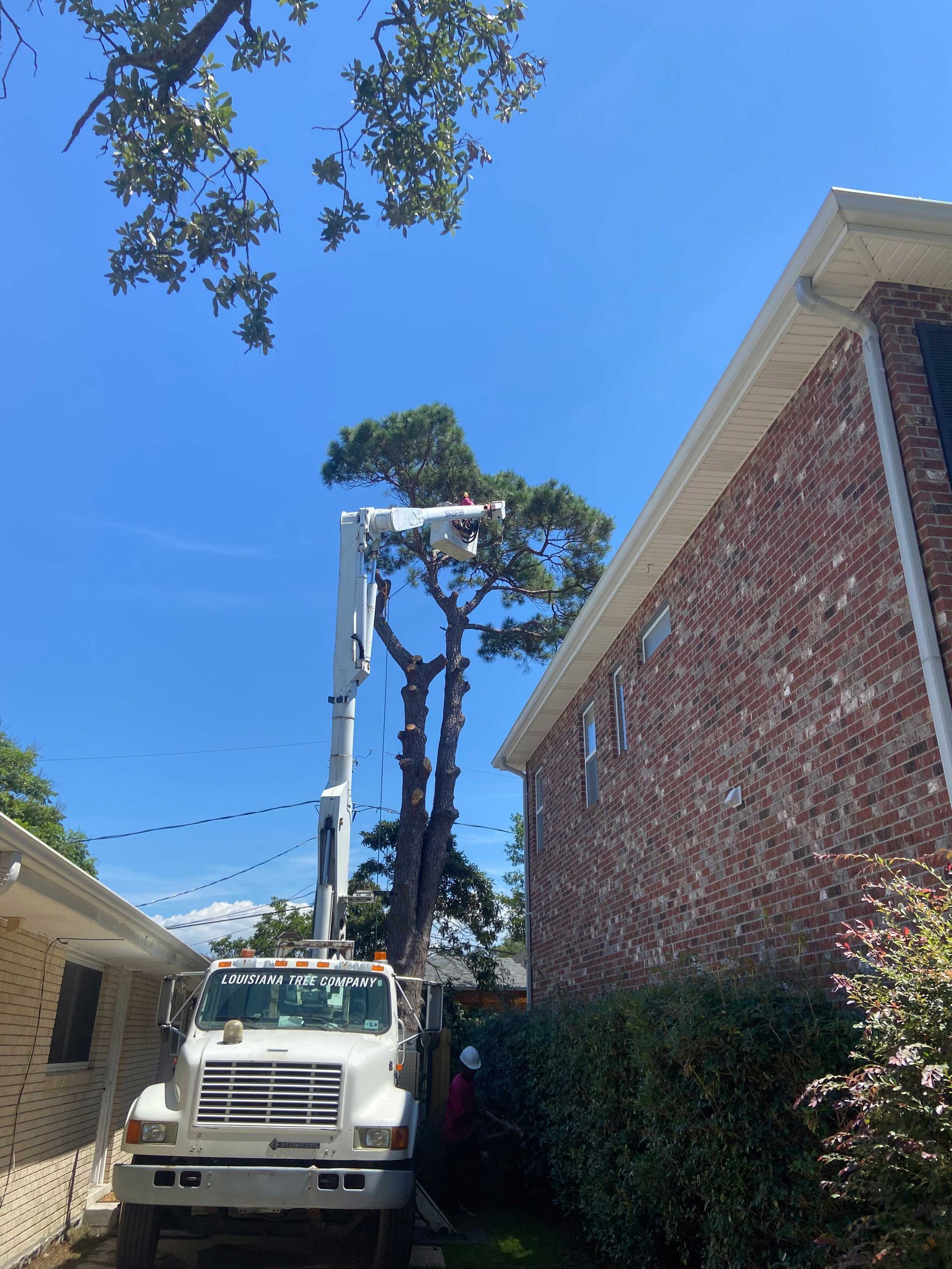 A tree cutting truck is parked in front of a brick house.