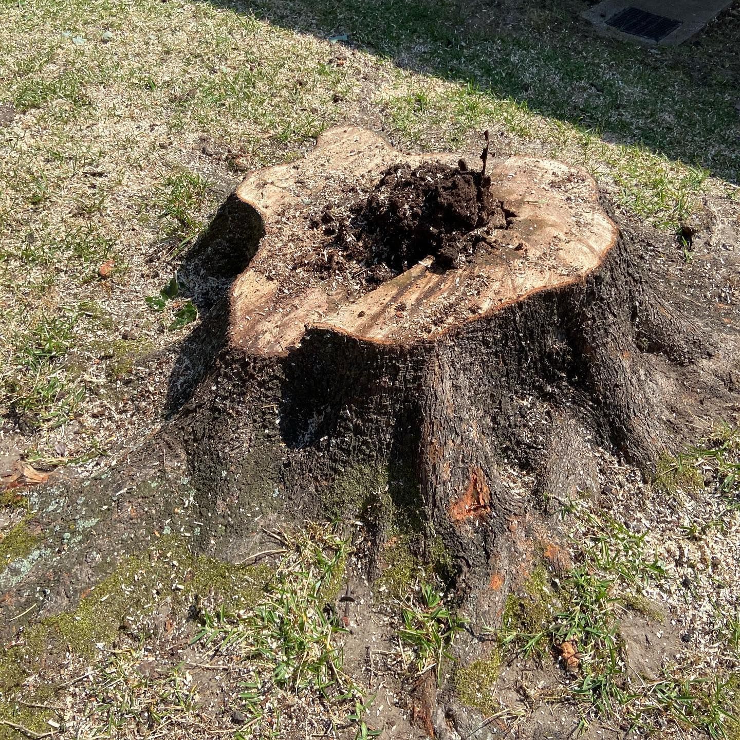 A tree stump is sitting on top of a lush green field.