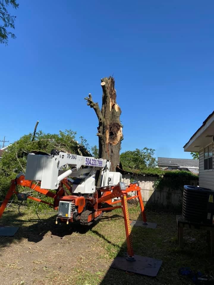 A crane is cutting down a tree in a backyard.