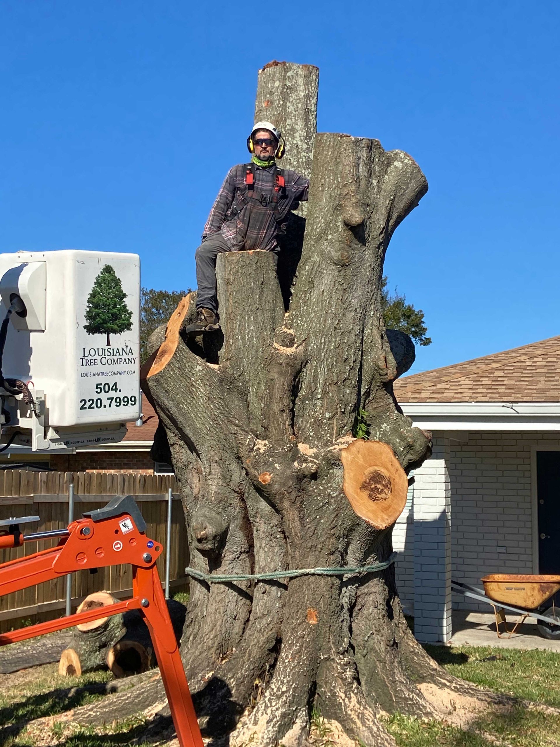 A man is standing on top of a large tree stump.