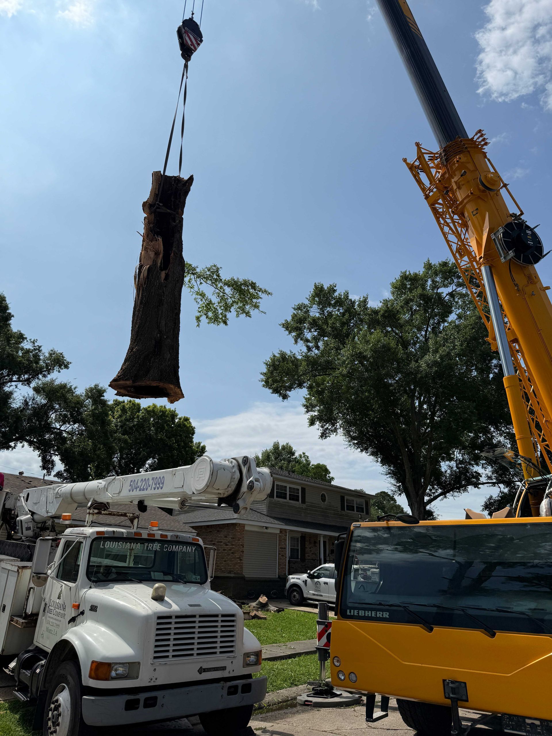A tree log is being lifted by a crane in front of a house