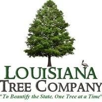 Louisiana Tree Company, LLC	