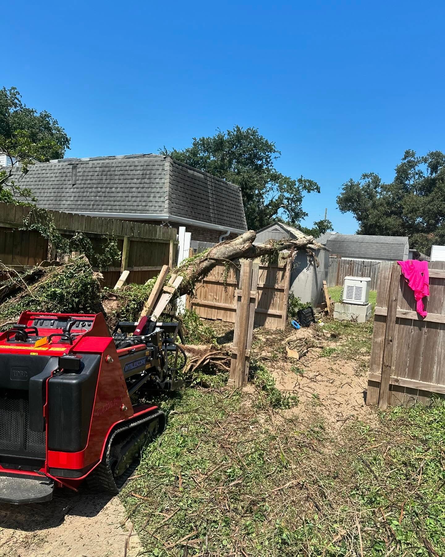 A red and black machine is cutting a tree branch in a yard.