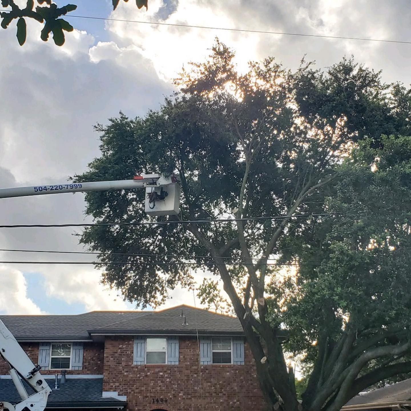 A man is cutting a tree in front of a brick house