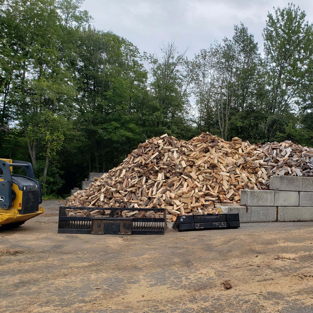 Trees — Tree Services in Warren, Rhode Island