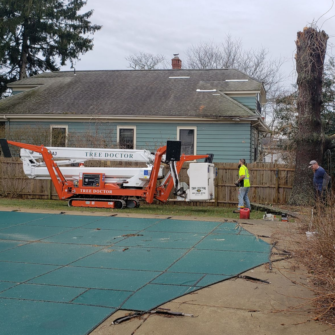 Plants Trimming — Tree Care in Warren, Rhode Island
