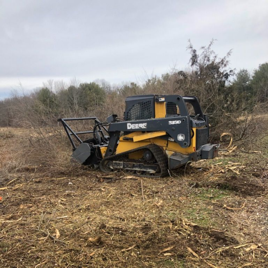 Small Plant — Tree Services in Warren, Rhode Island