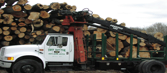 Wood Transport — Tree Services in Warren, Rhode Island