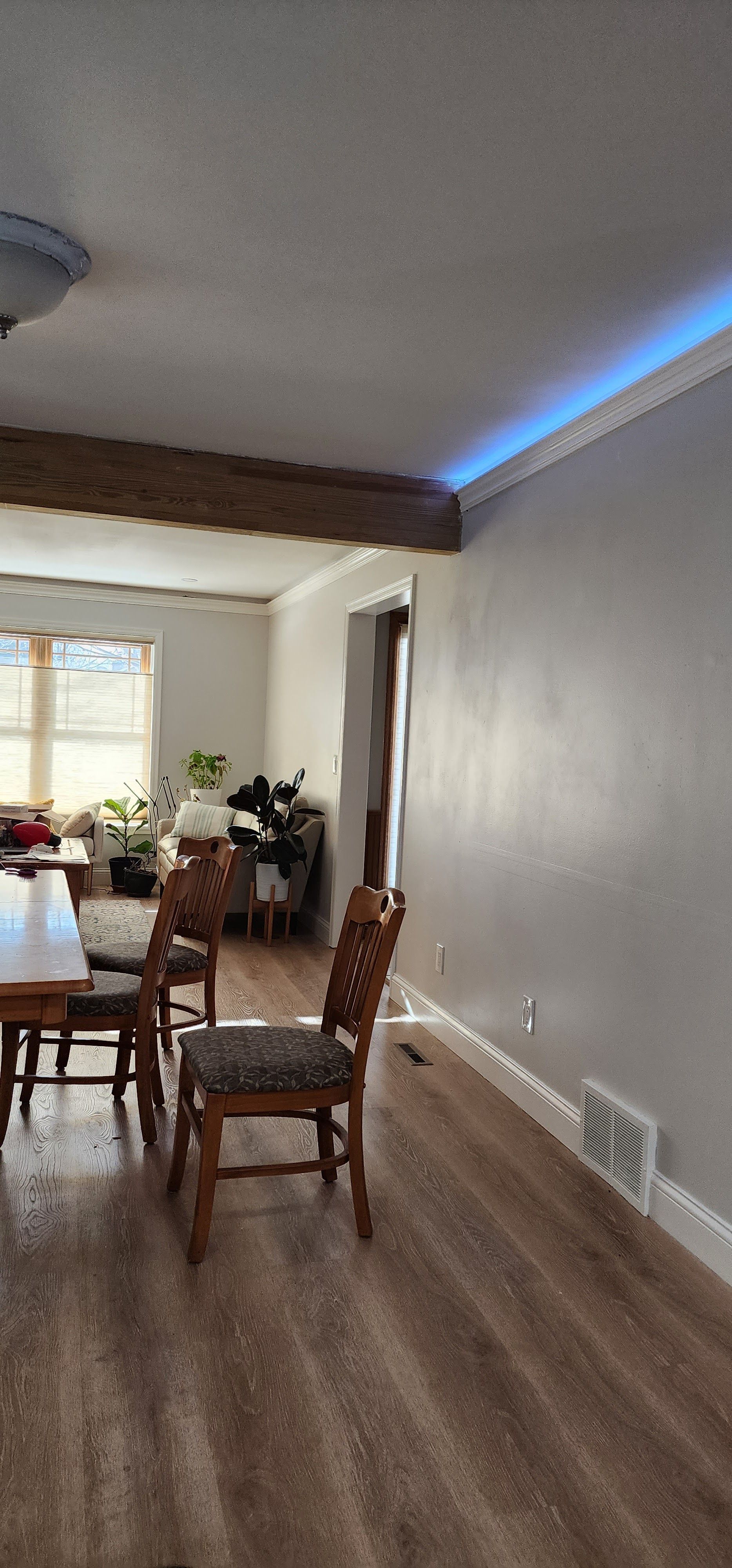 Ceiling blue lighting.