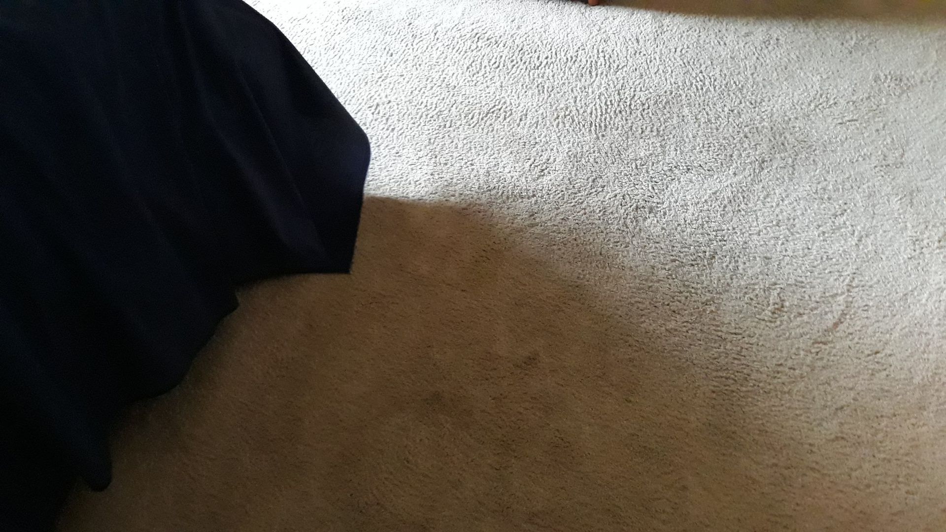 A person is standing on a carpeted floor next to a bed.