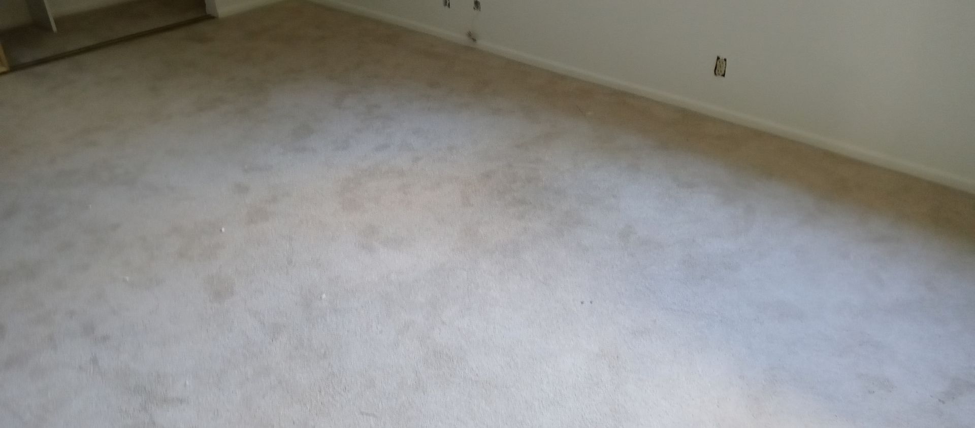 A room with a carpeted floor and white walls.