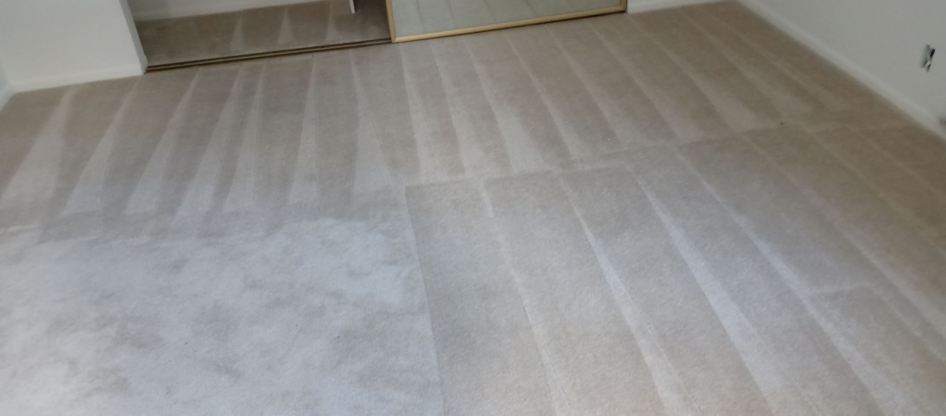 A room with a carpeted floor and a door.