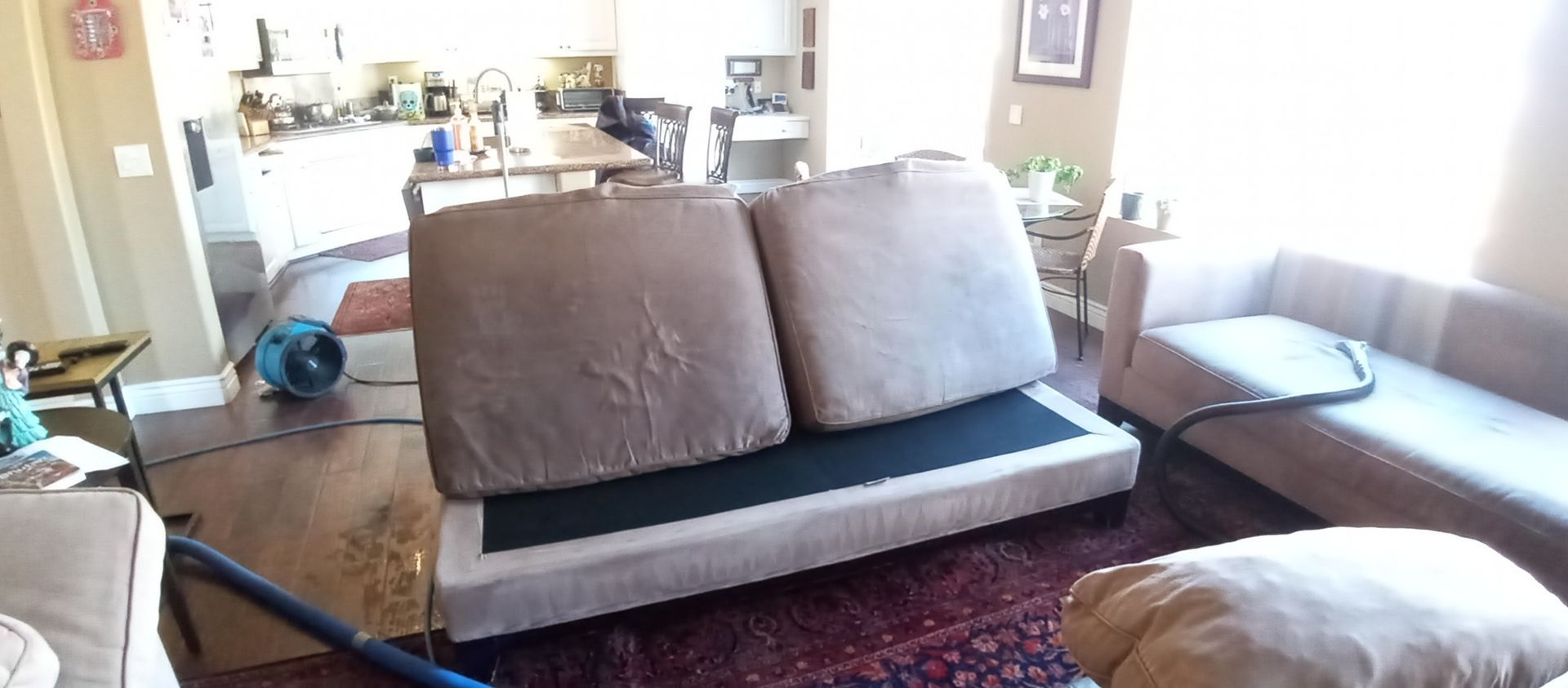 A living room with a couch and a vacuum cleaner in it.