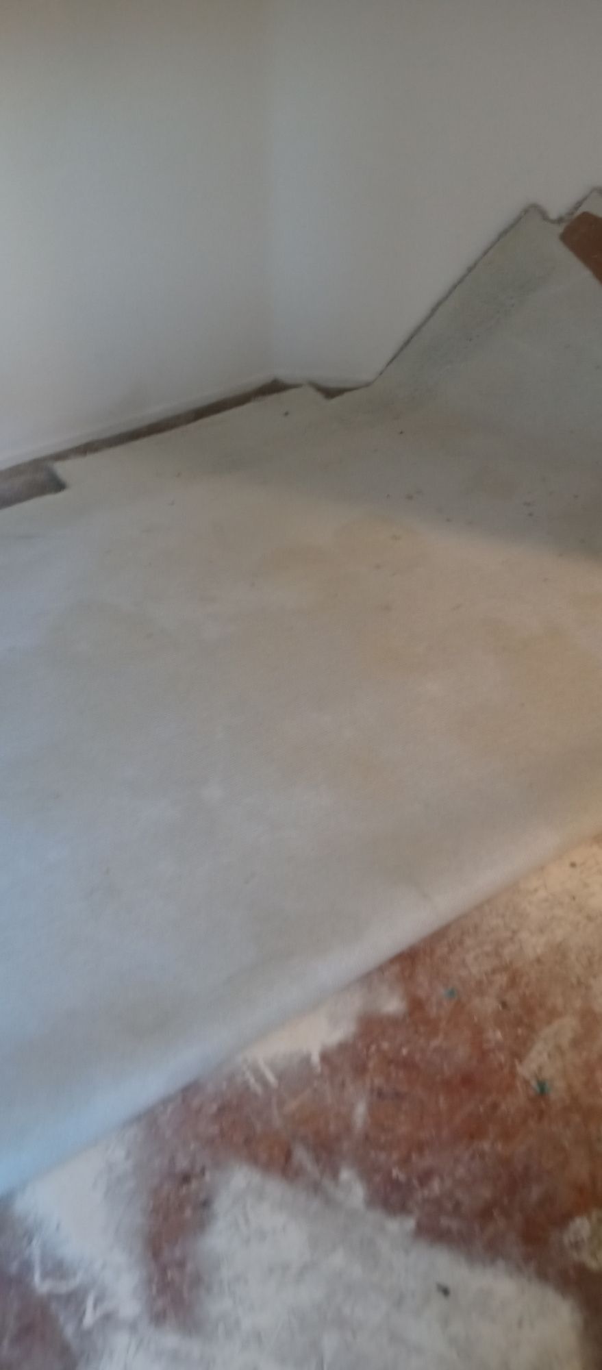 A piece of paper is laying on the floor in a room.