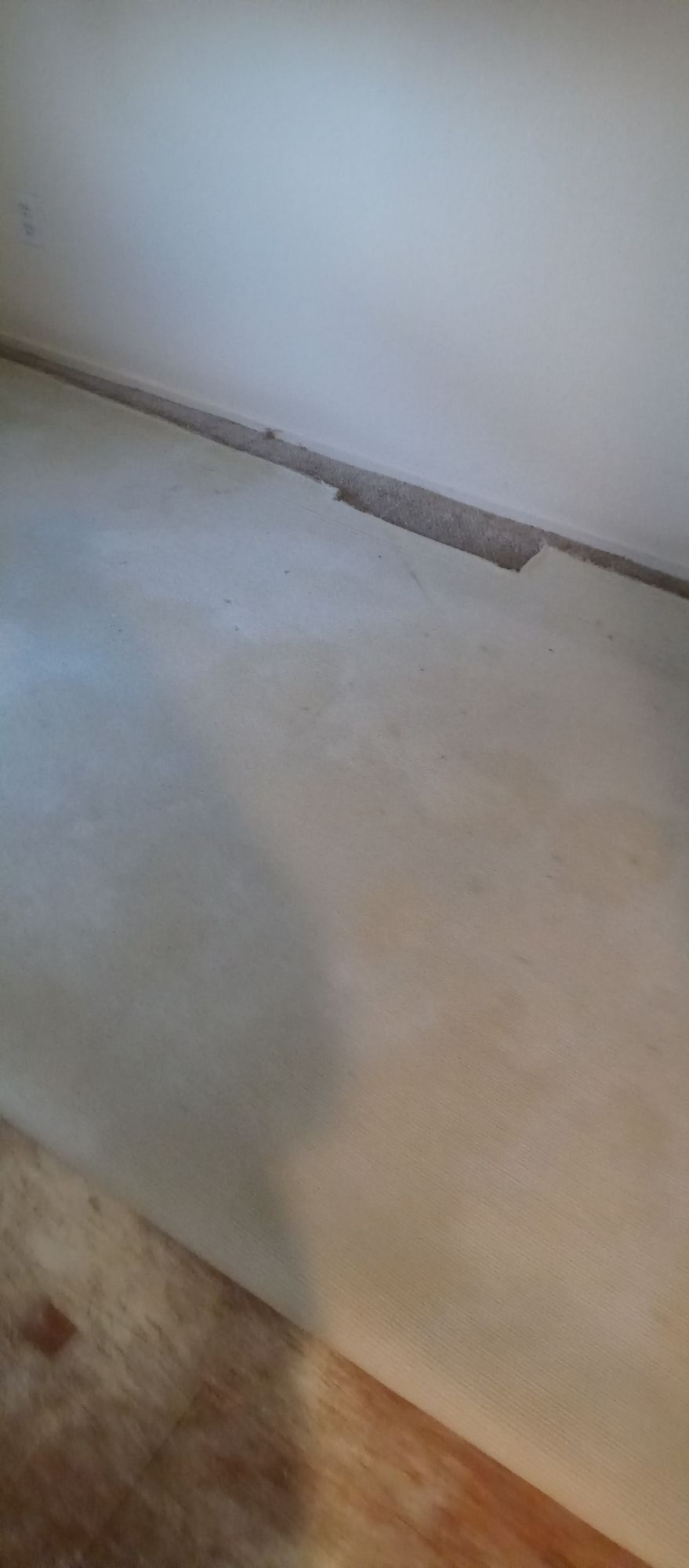 A room with a wooden floor and a white wall.