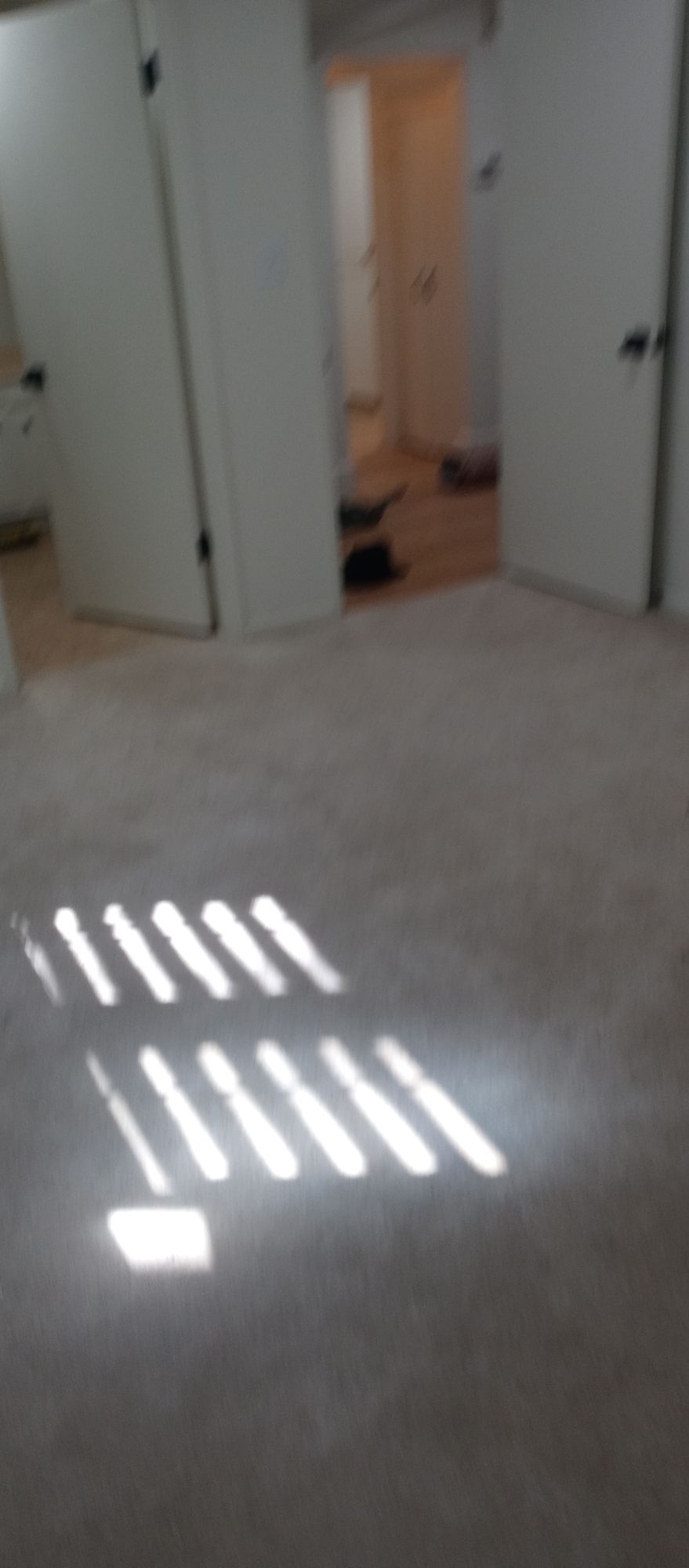 A room with a lot of doors and a light shining through them